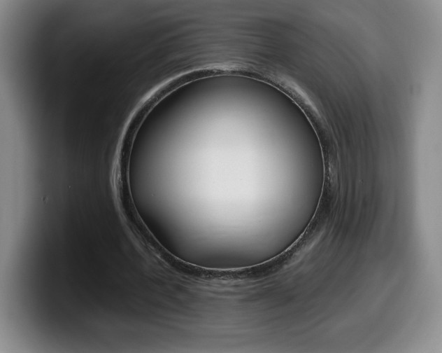 X0000099460532200805090749