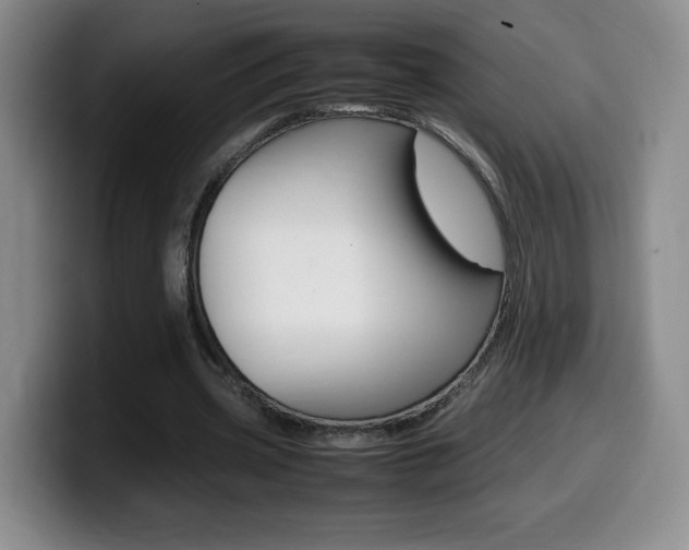 X0000099460533200805090749