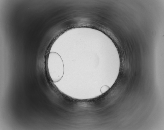 X0000099460534200805090749