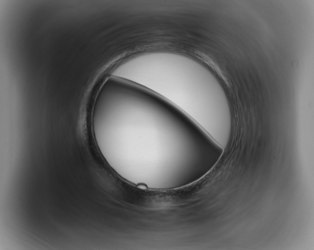 X0000099460535200805090749