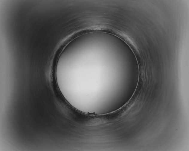 X0000099460536200805090749