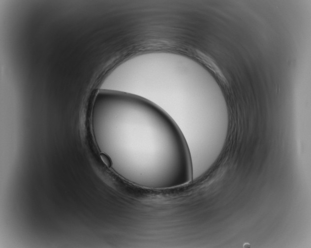 X0000099460538200805090749