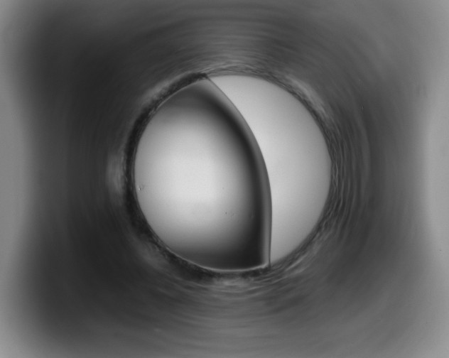 X0000099460540200805090749