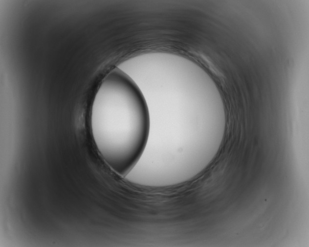 X0000099460543200805090749