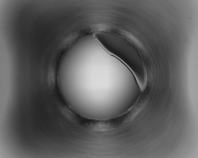 X0000099460546200805090749
