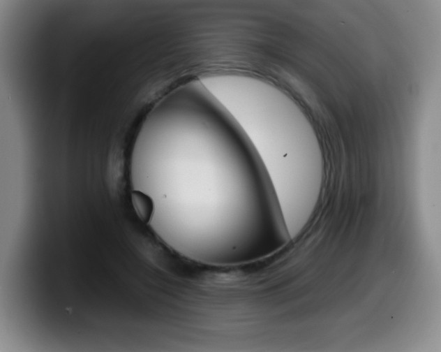 X0000099460548200805090749