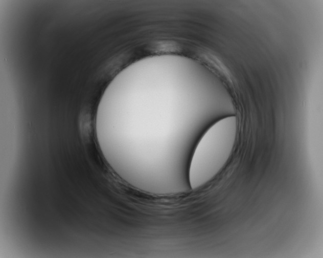 X0000099460549200805090749