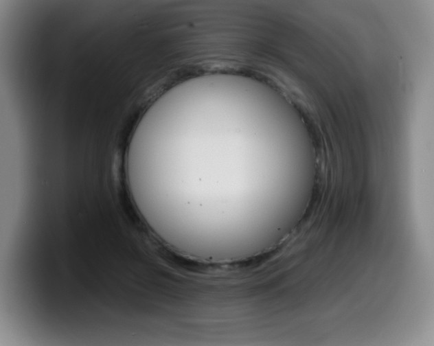 X0000099460550200805090749