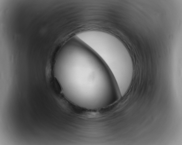 X0000099460552200805090749