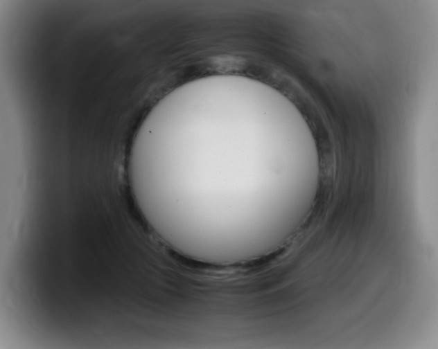 X0000099460553200805090749