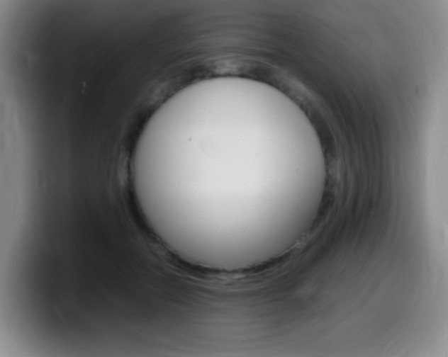 X0000099460554200805090749
