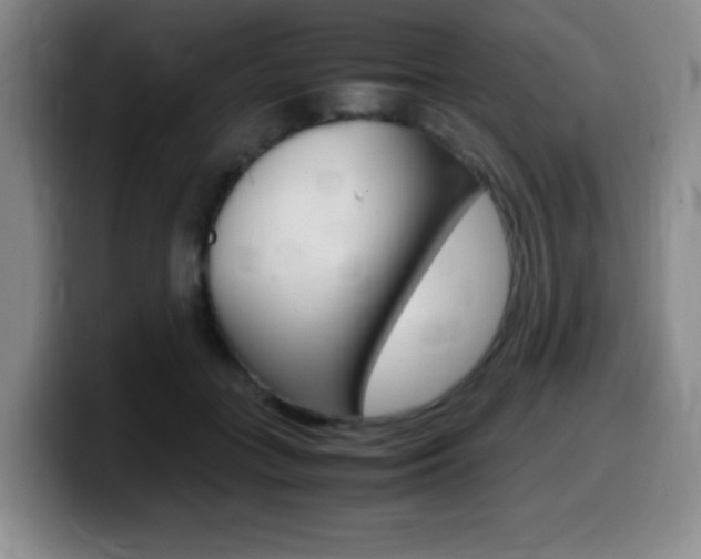 X0000099460555200805090749