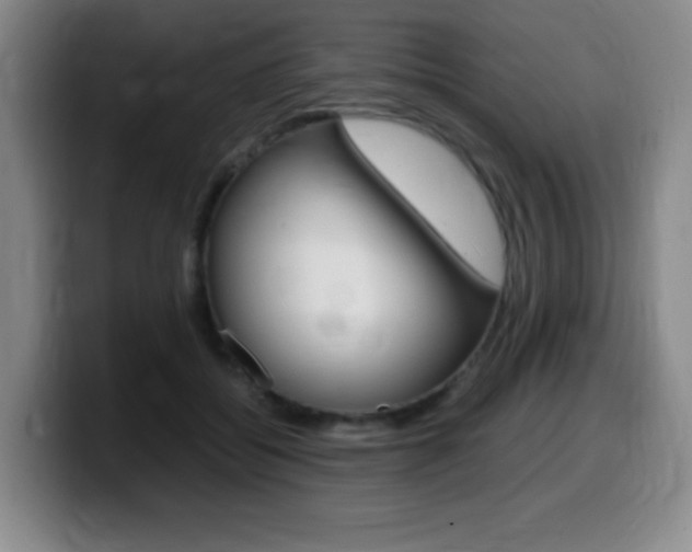 X0000099460556200805090749