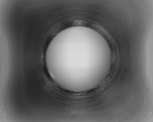 X0000099460557200805090749