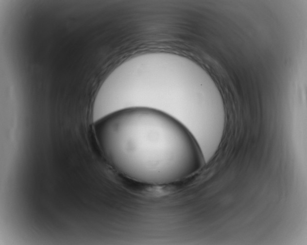 X0000099460558200805090749