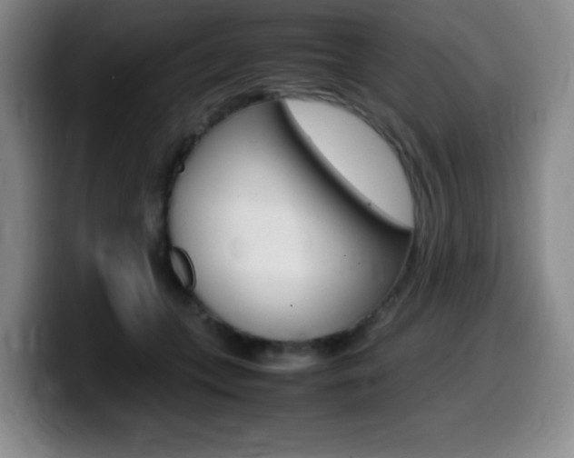 X0000099460559200805090749