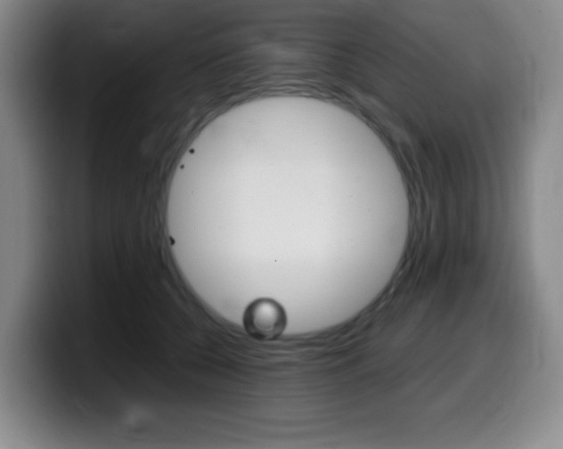 X0000099460560200805090749