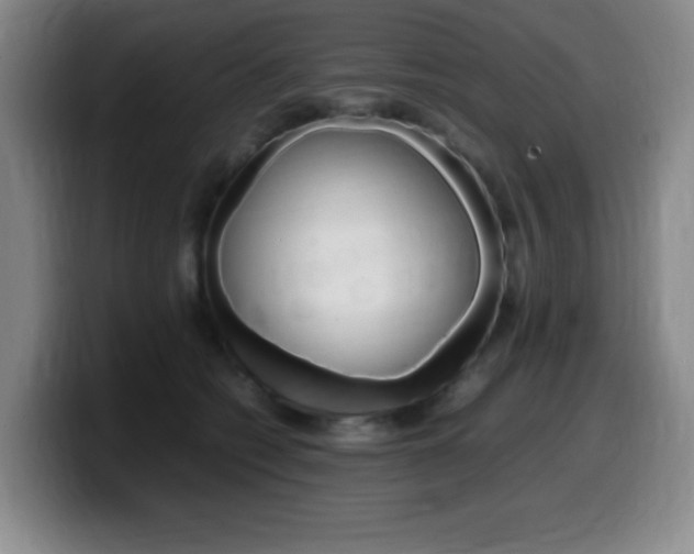 X0000099460562200805090749