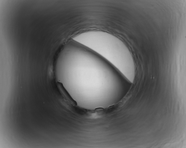 X0000099460564200805090749