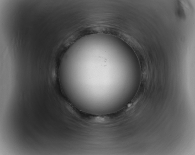 X0000099460566200805090750
