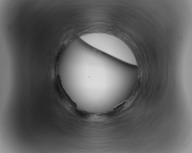 X0000099460568200805090750