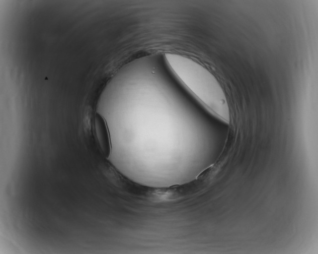 X0000099460570200805090750