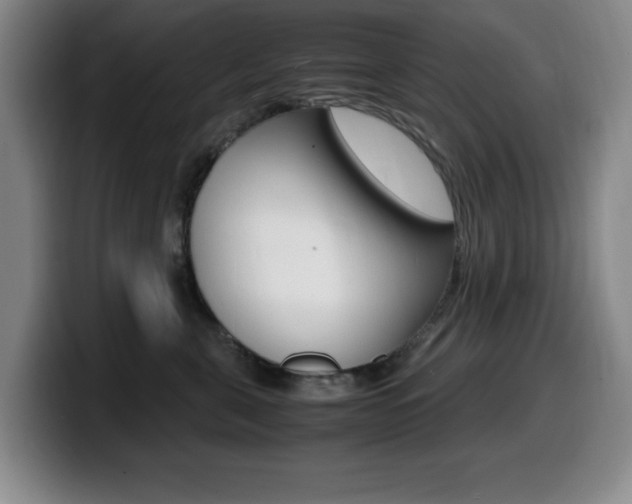 X0000099460571200805090750