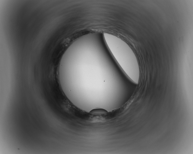 X0000099460572200805090750