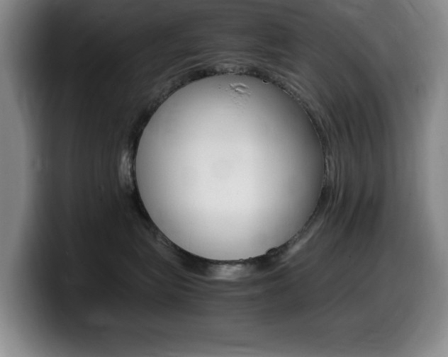 X0000099460575200805090750