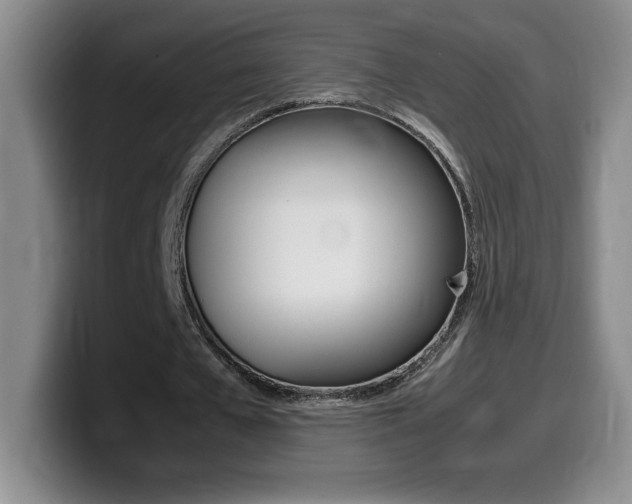 X0000099460577200805090749