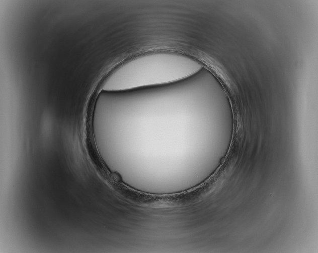 X0000099460578200805090749