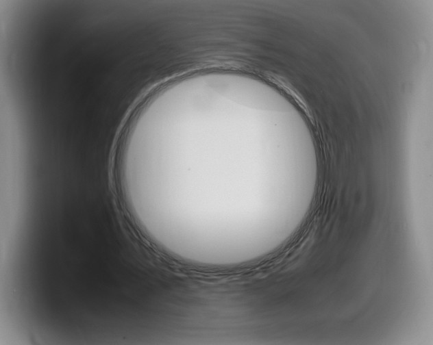 X0000099460579200805090749