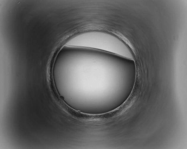 X0000099460581200805090749