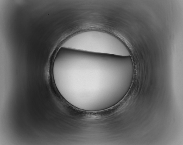 X0000099460582200805090749