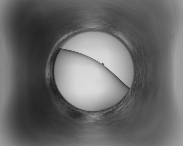 X0000099460583200805090749