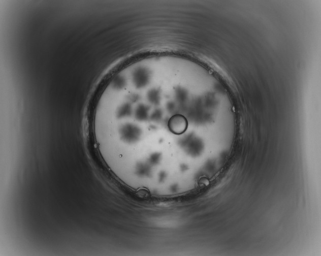 X0000099460584200805090749
