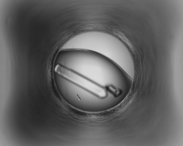 X0000099460585200805090749