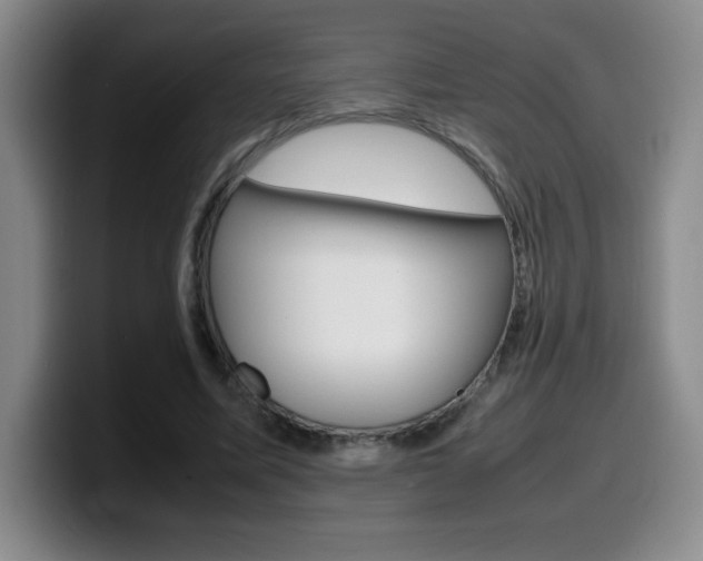 X0000099460587200805090749