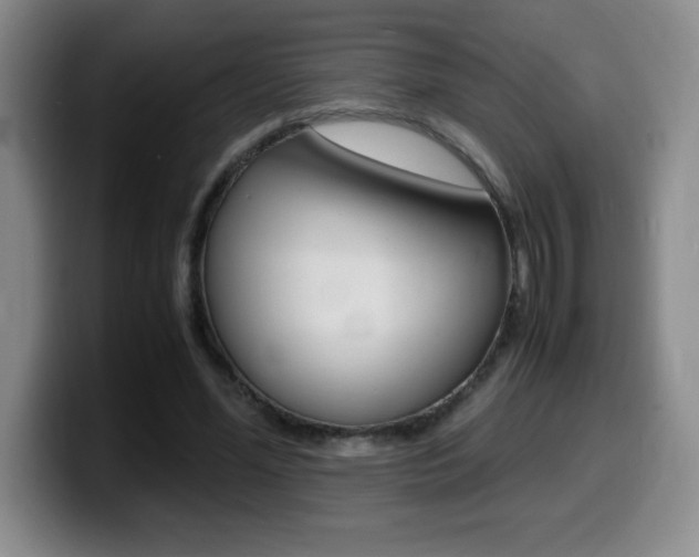 X0000099460588200805090749