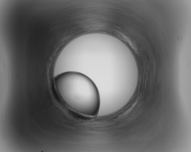 X0000099460589200805090749