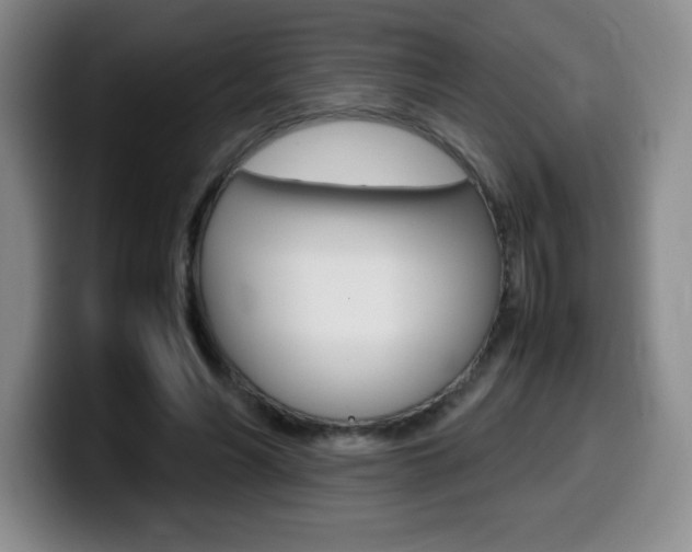 X0000099460590200805090749