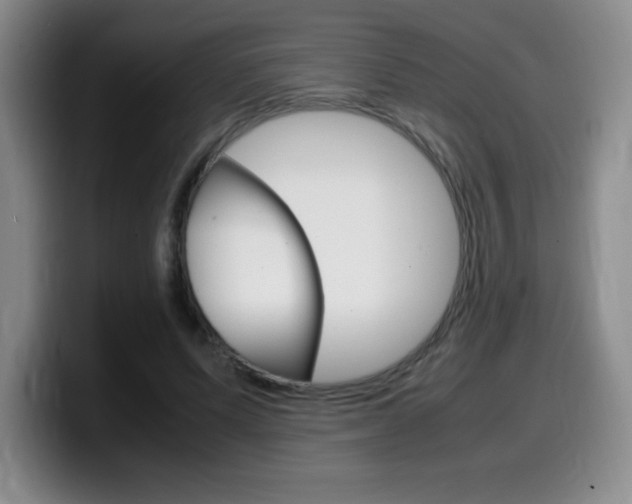 X0000099460591200805090749