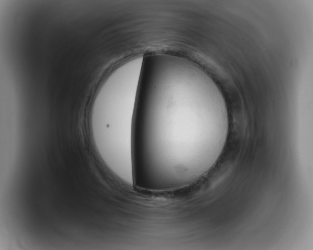 X0000099460592200805090749