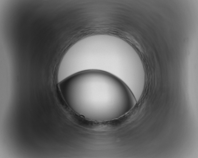 X0000099460593200805090749
