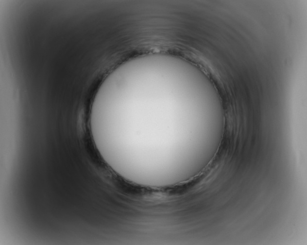X0000099460594200805090749