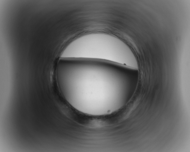X0000099460596200805090749