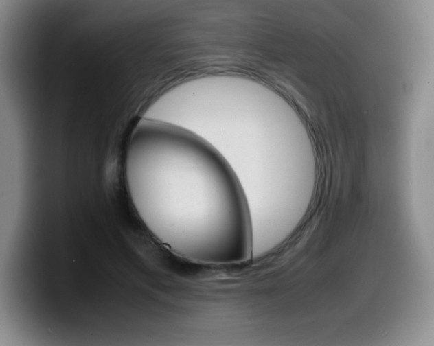 X0000099460597200805090749