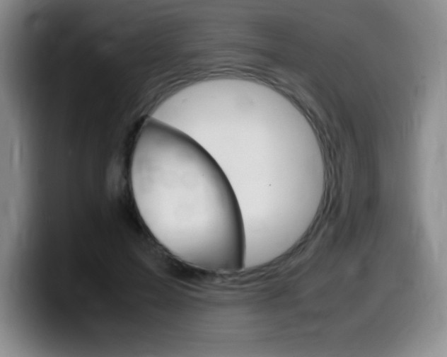 X0000099460599200805090749