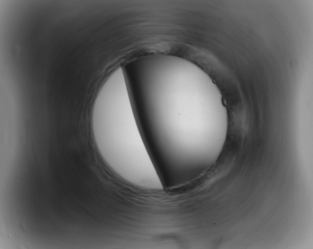 X0000099460600200805090749