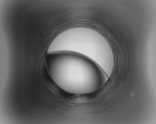 X0000099460601200805090749